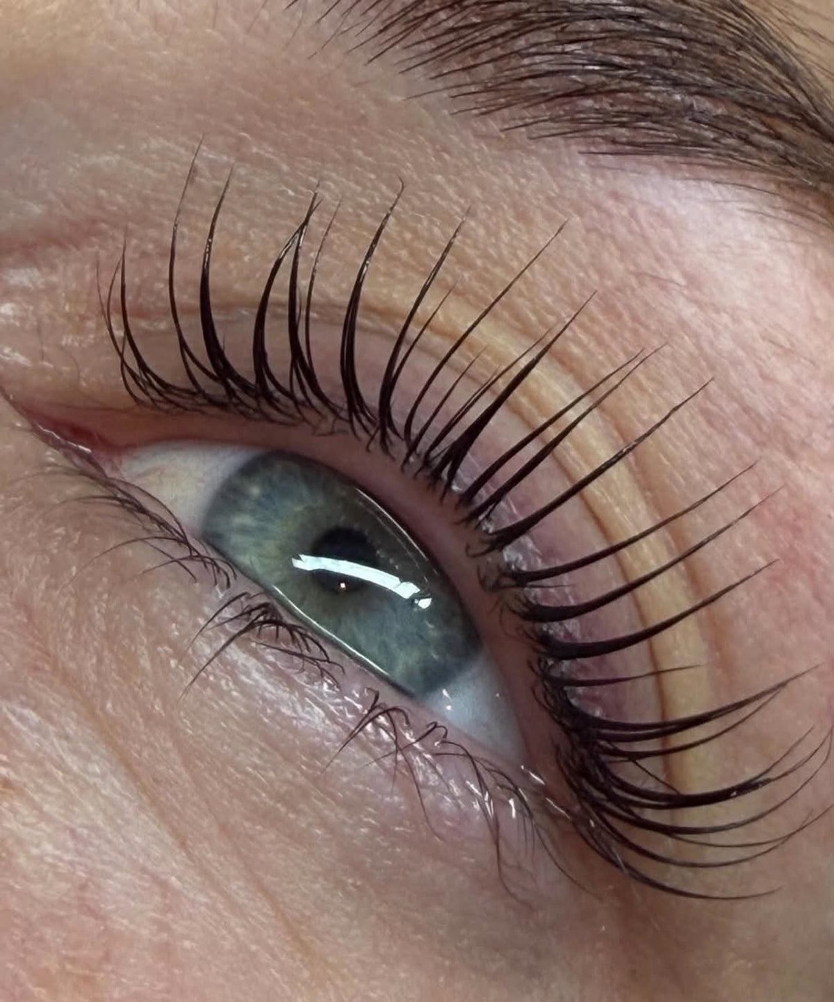 La'she By Ann-Lee